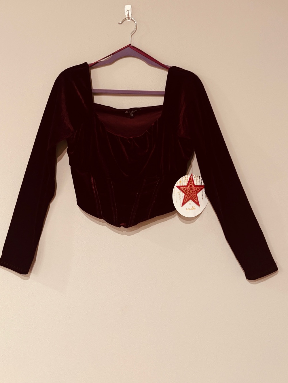 mixed threads Los Angeles BurgundyVelvet Square Neck Puff Sleeve Corset Top XL